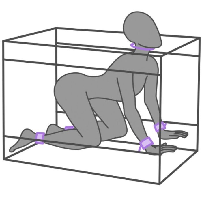 SECRET DOME - KINK CLUB LA NICHE CABINA  MORADO - Imagen 4